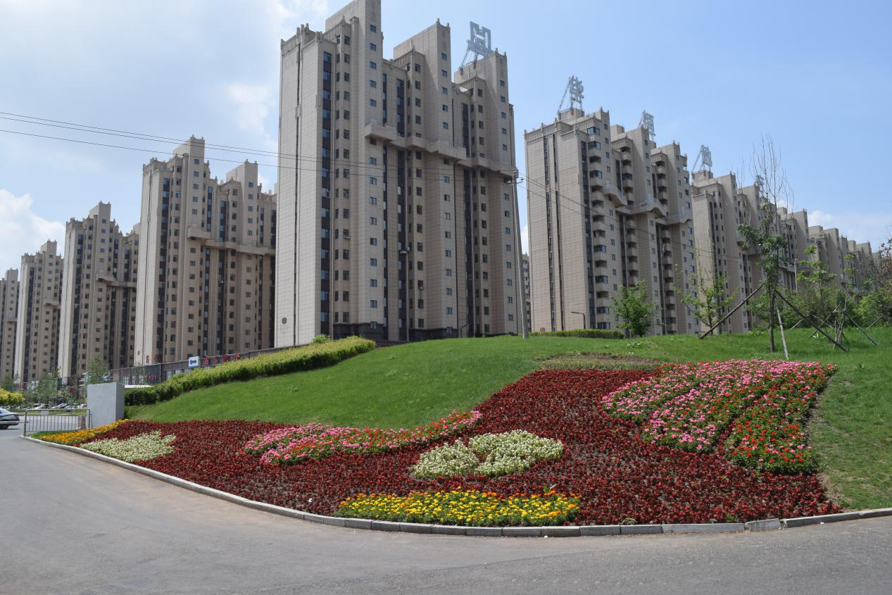 南山公园绿地改造提升后效果