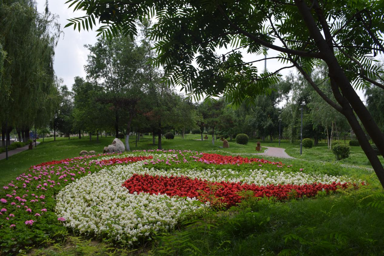 溪桥公园三期内花镜