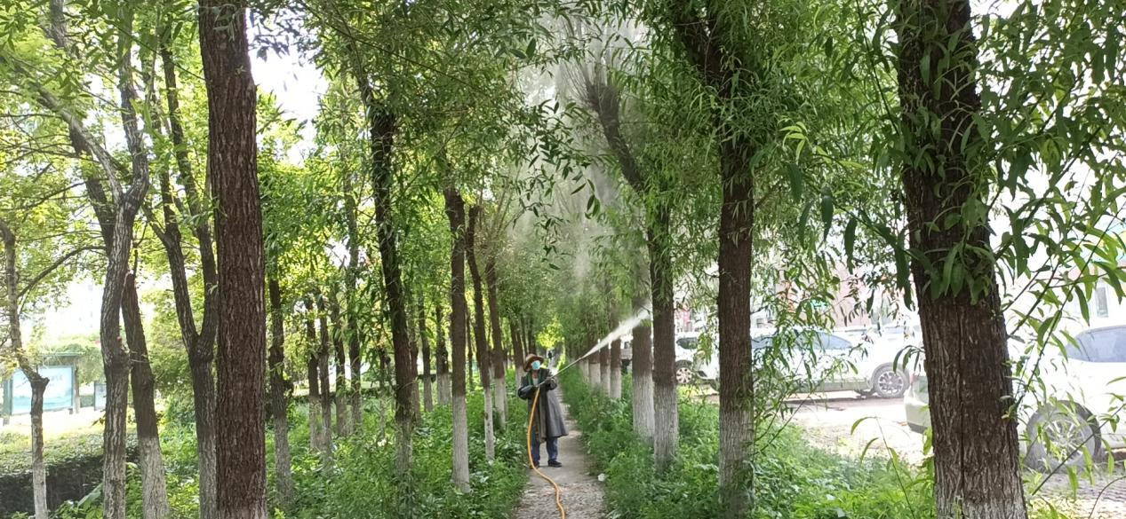 树木病虫害防治