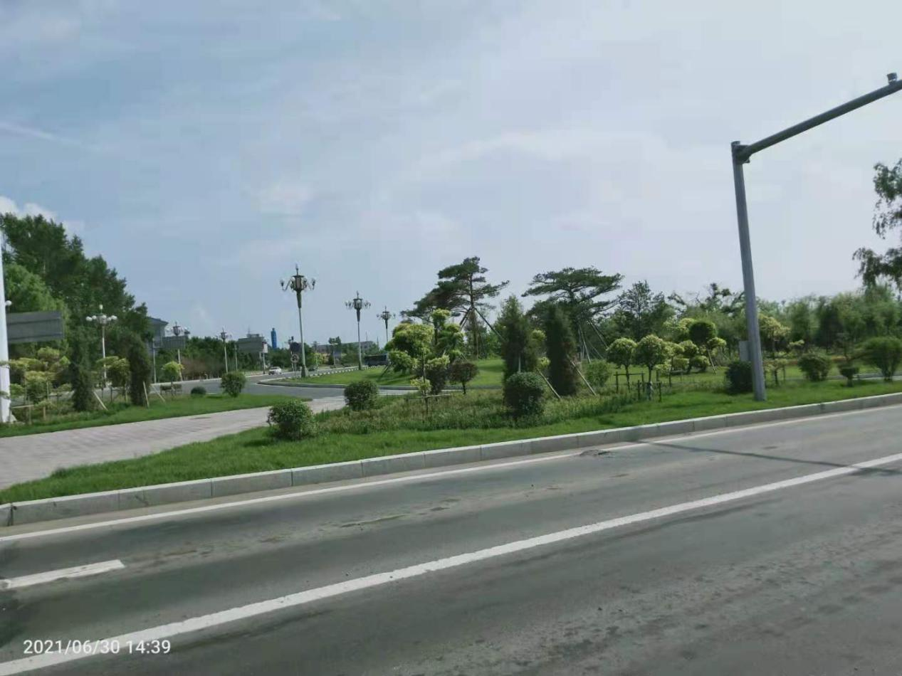 长通路与吉长公路交汇处交通岛的绿化