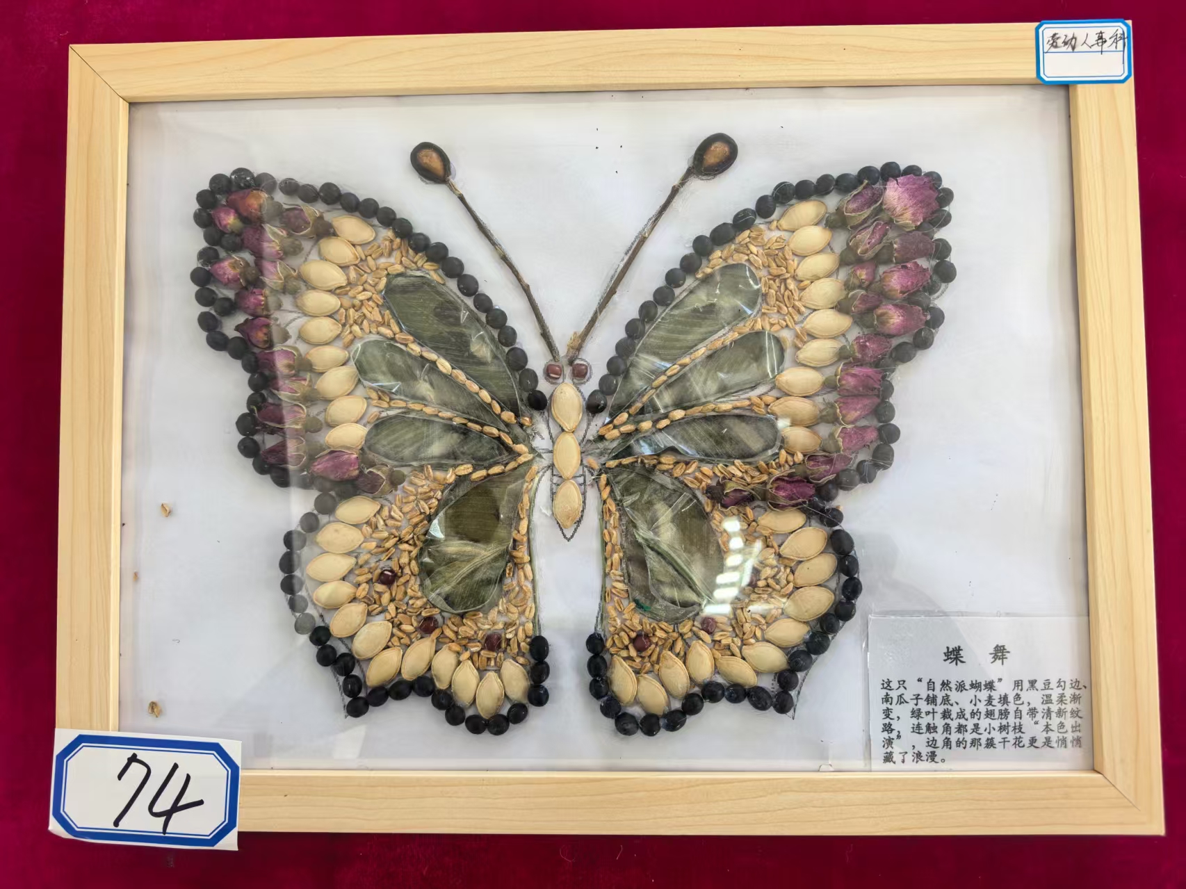 二等奖-劳动人事科-蝶舞