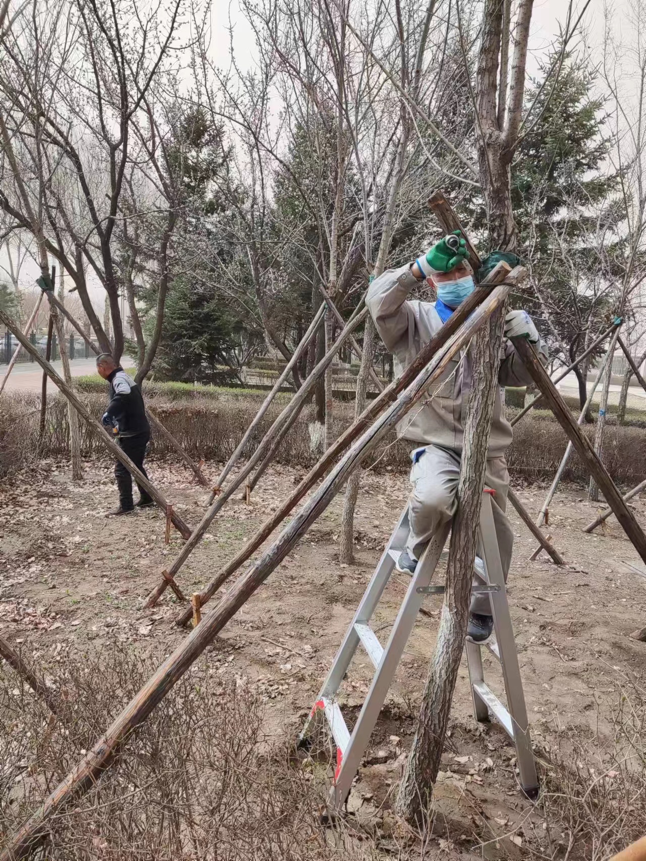 摄影 宋鹏翔 (3)