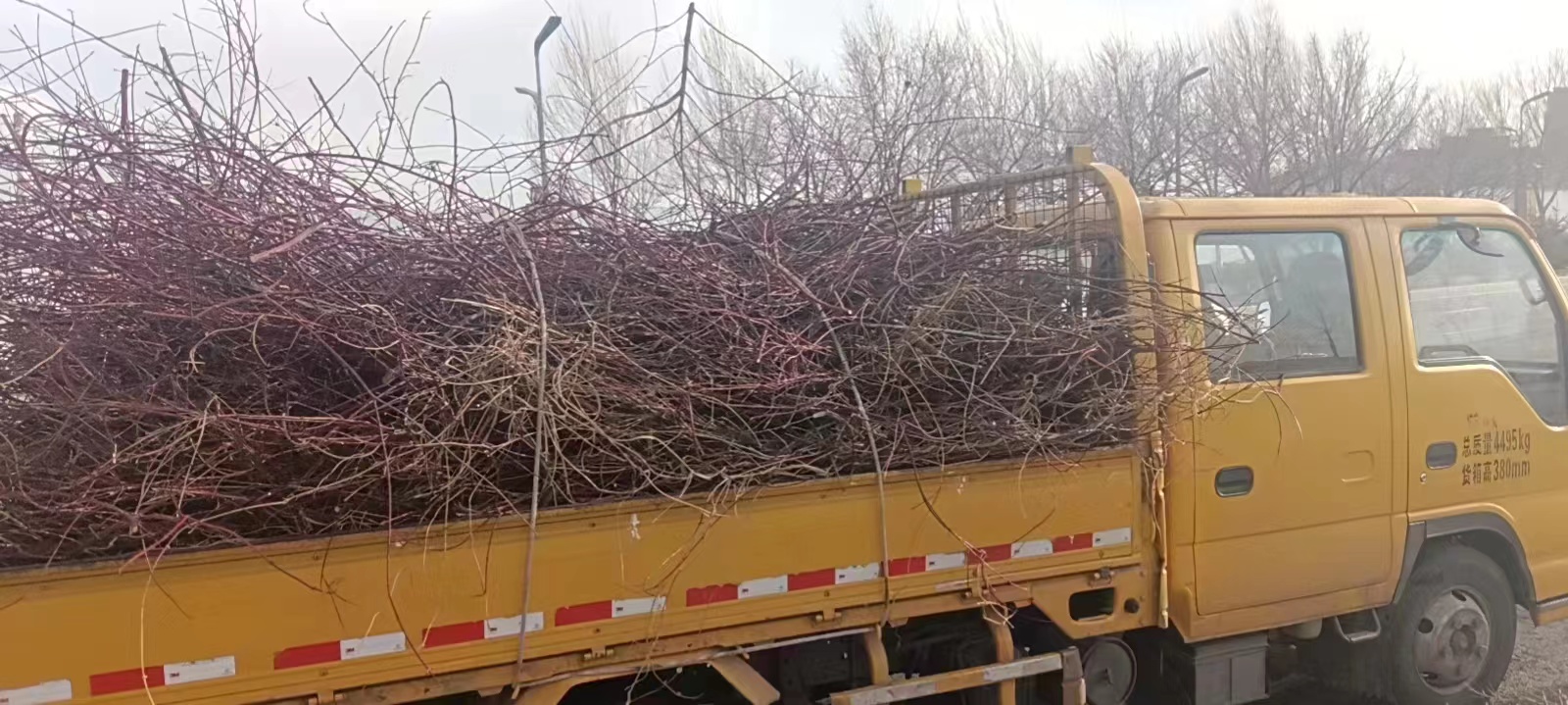 摄影 宋鹏翔 (2)