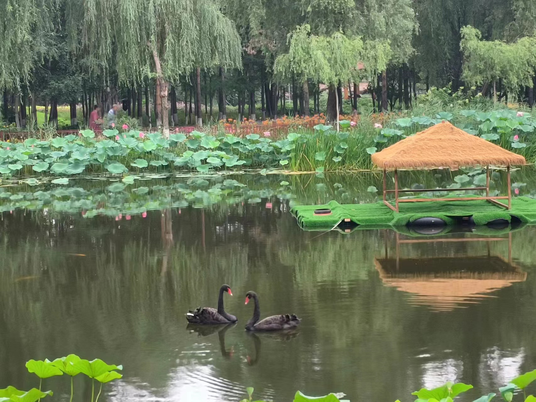 微信图片_20230804090958