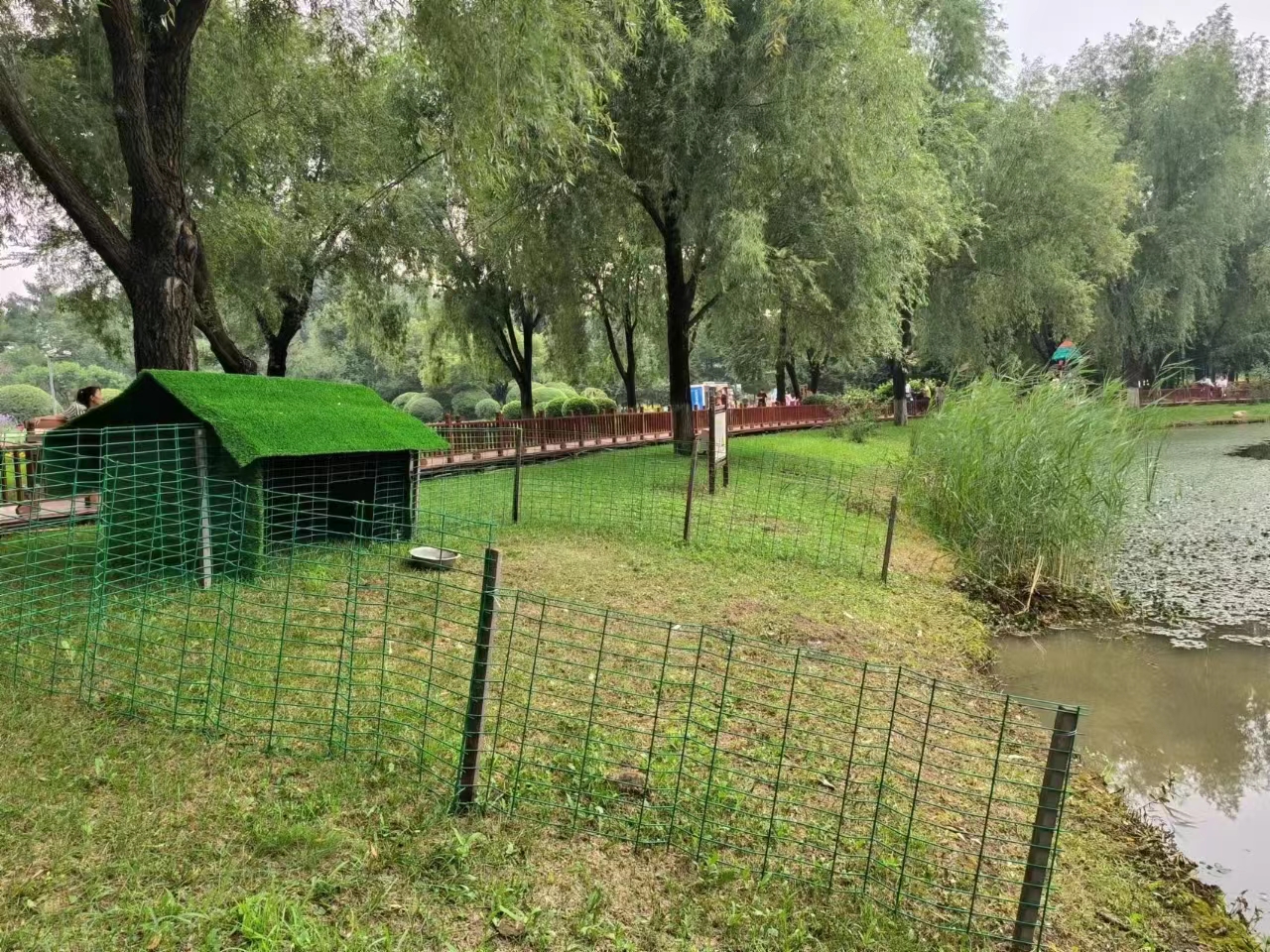 微信图片_20230804091006