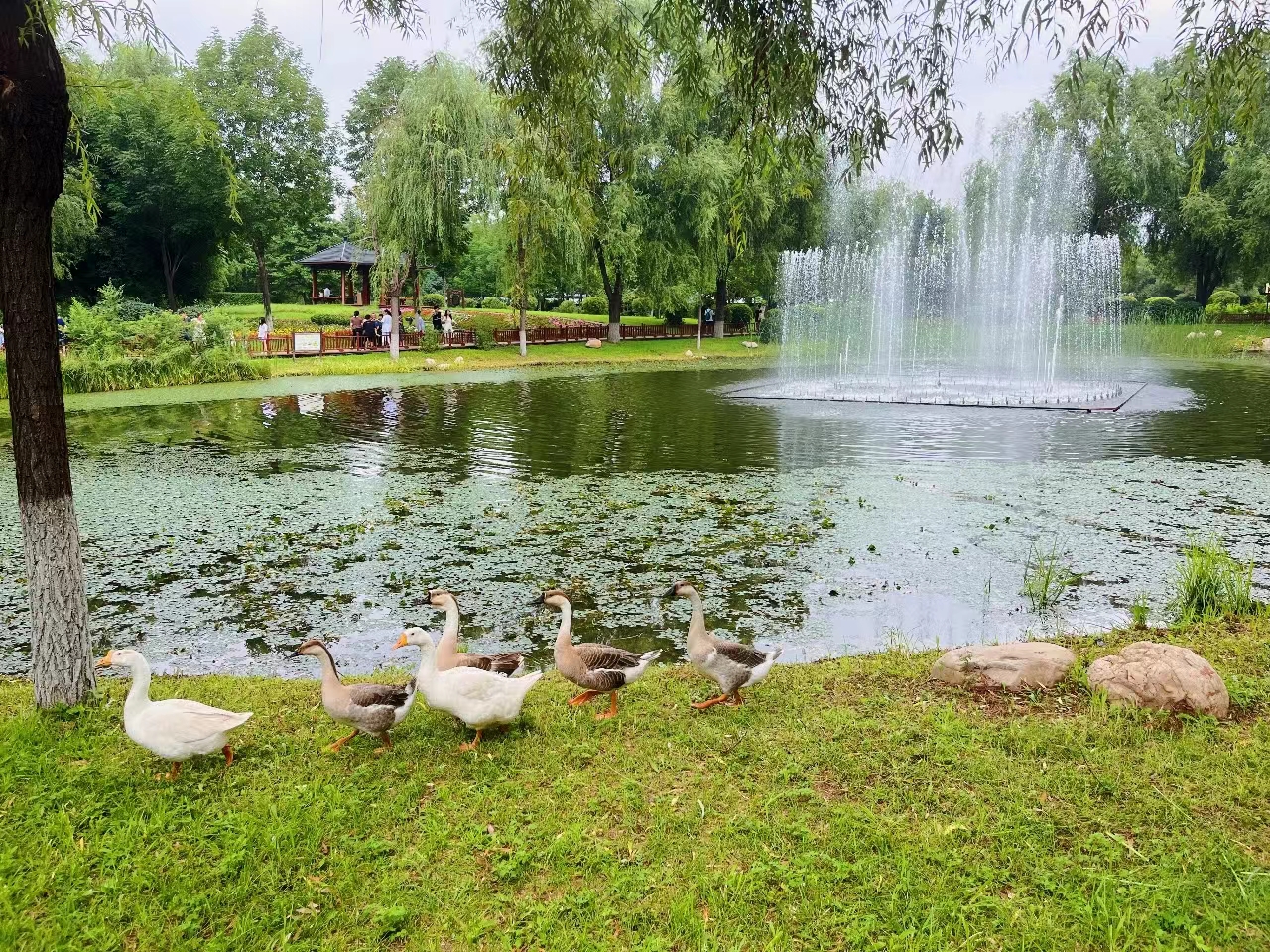 微信图片_20230804091009