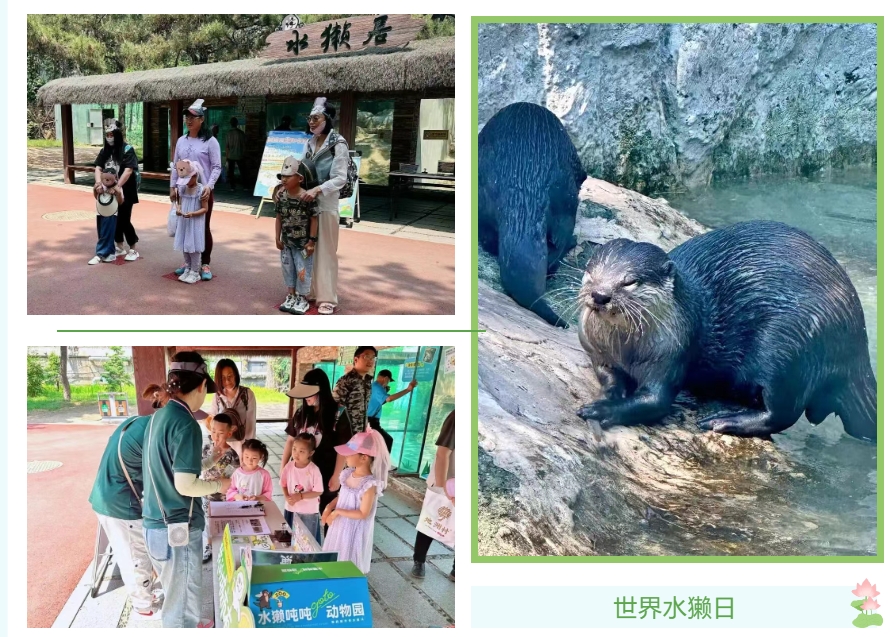 微信截图_20250531144548