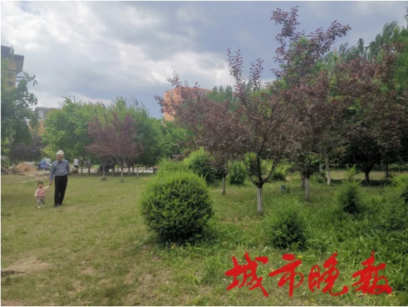 微信截图_20250611142551