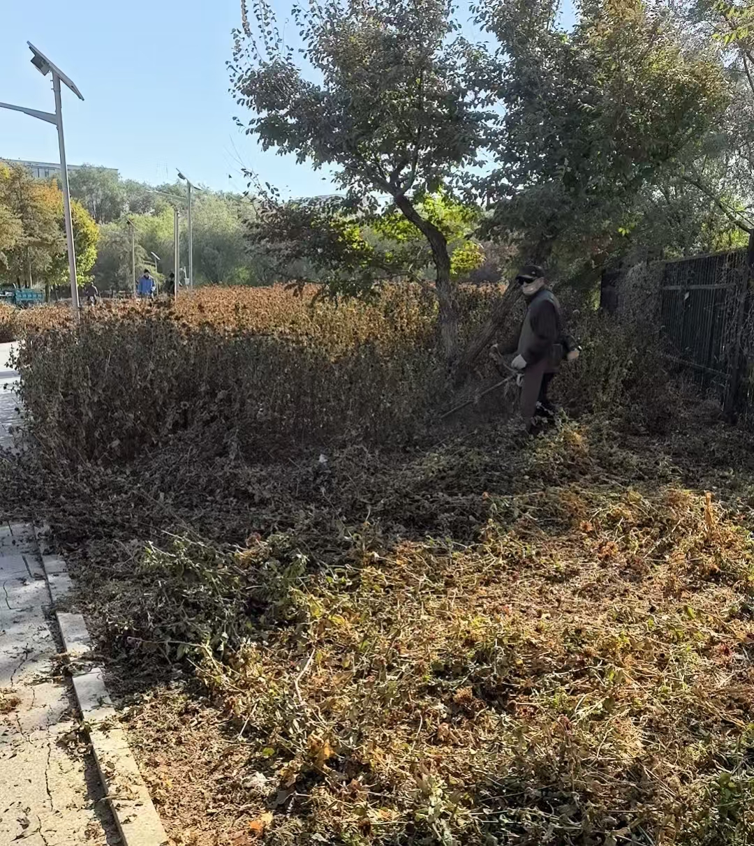 6ae7c69bc342381e89e72d71ce1db123