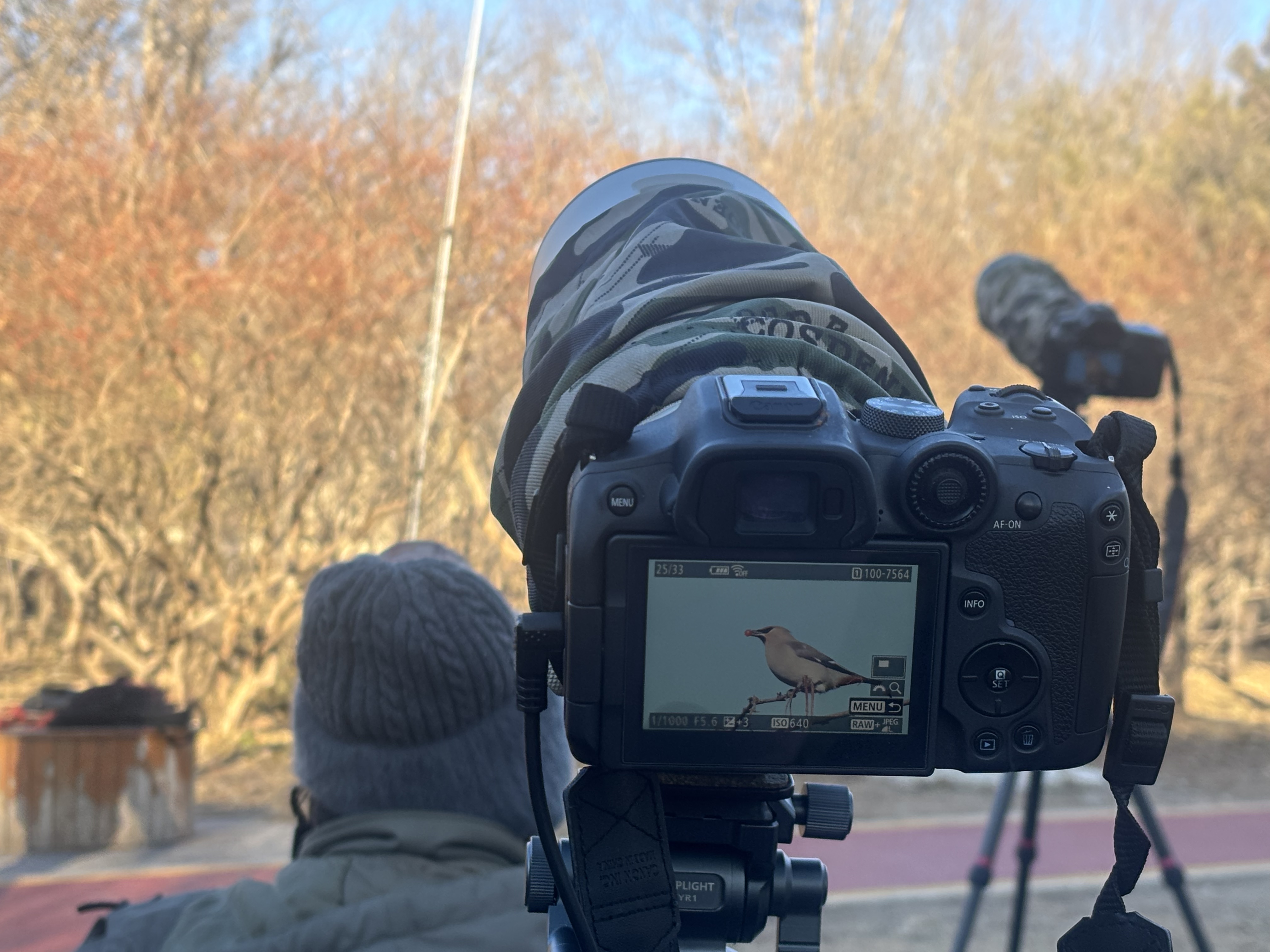 74804438ccd19c993cfa7640f1c9723b