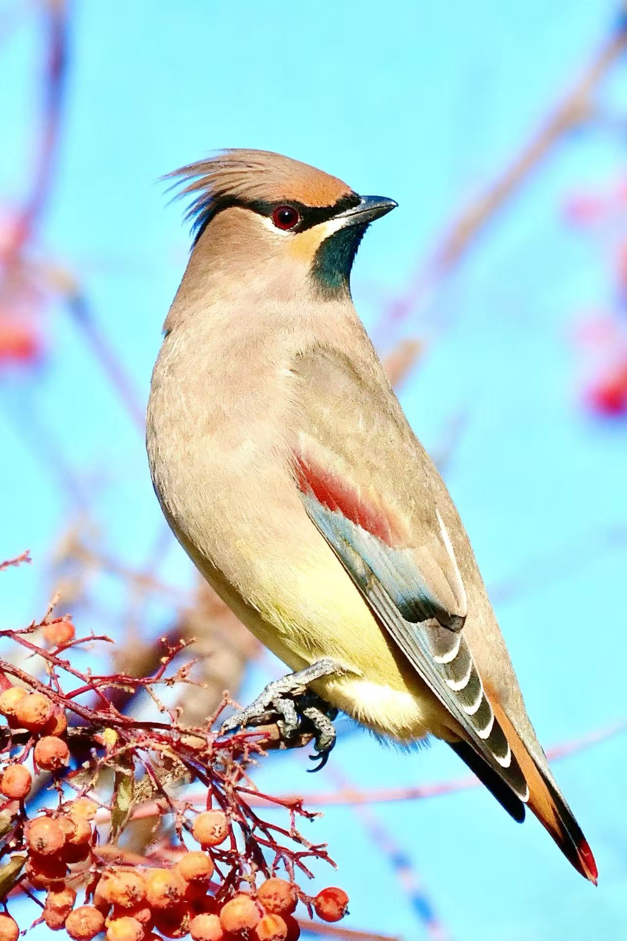 摄影爱好者郝健群作品2