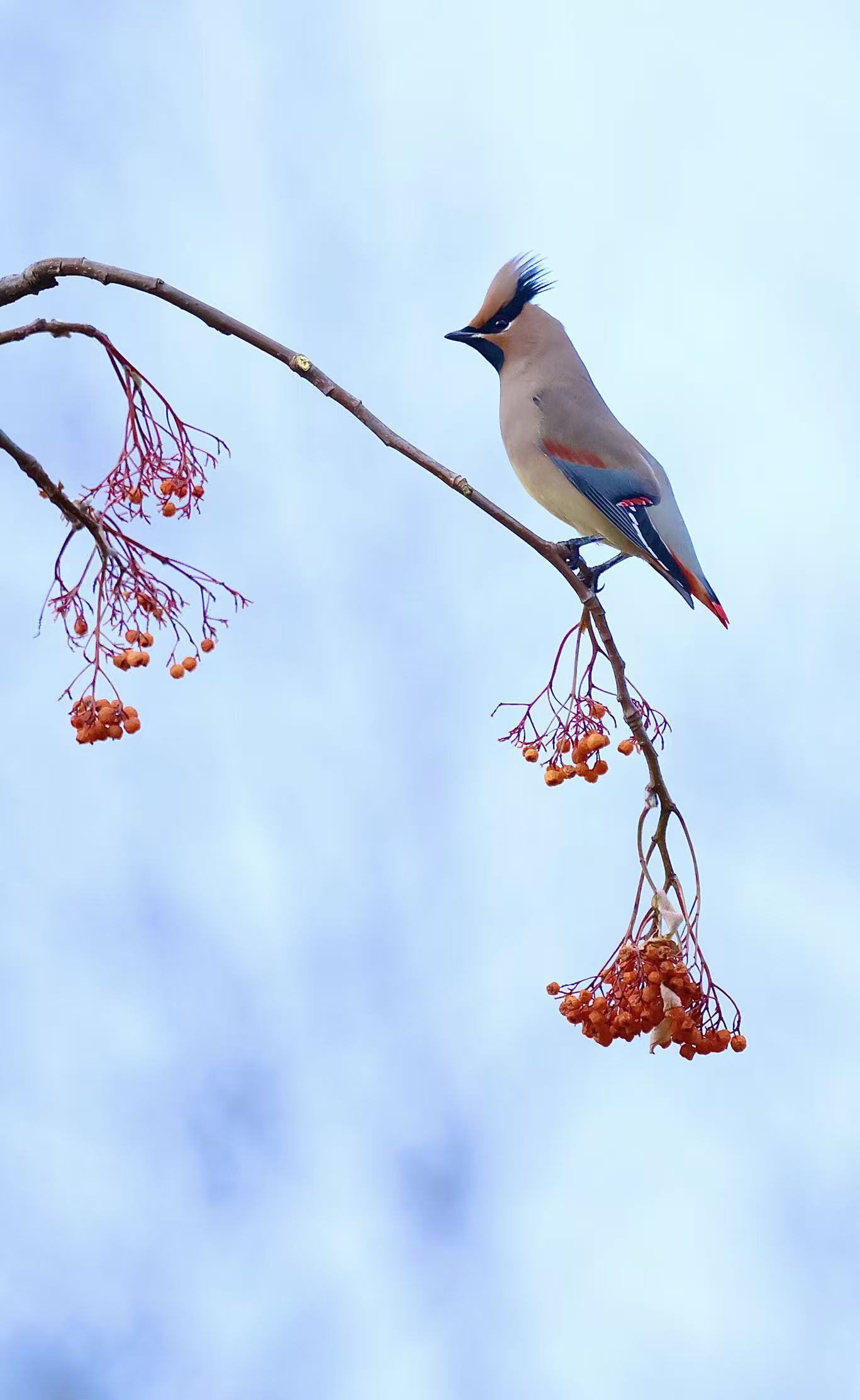 摄影爱好者郝健群作品1