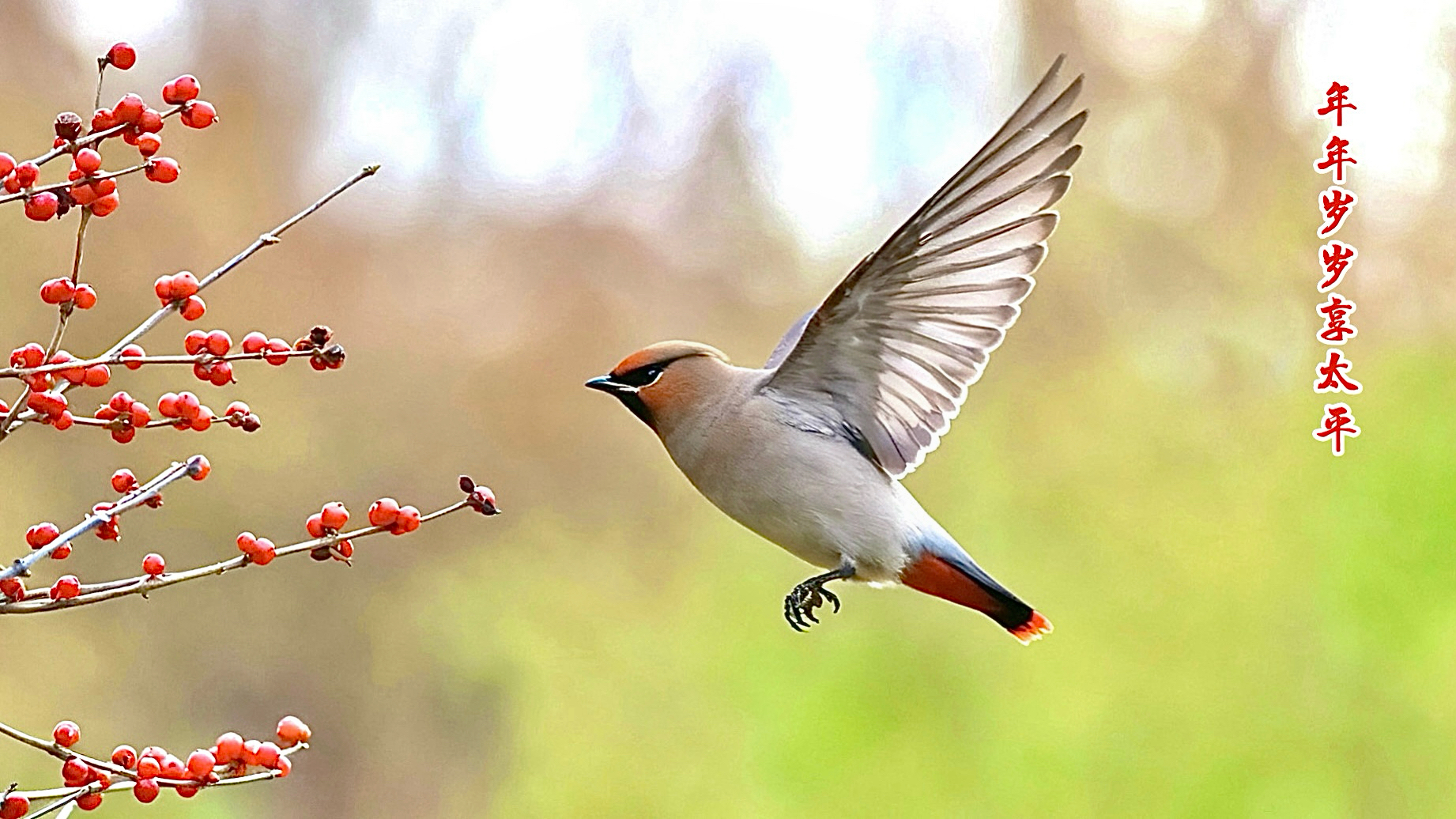 摄影爱好者郝健群作品3