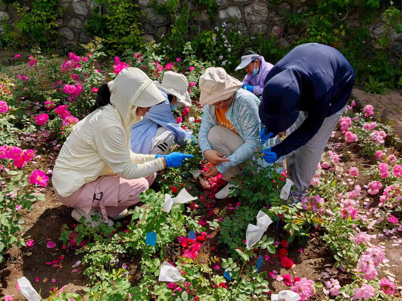 08c204676e3145f9eef42f3c93506480