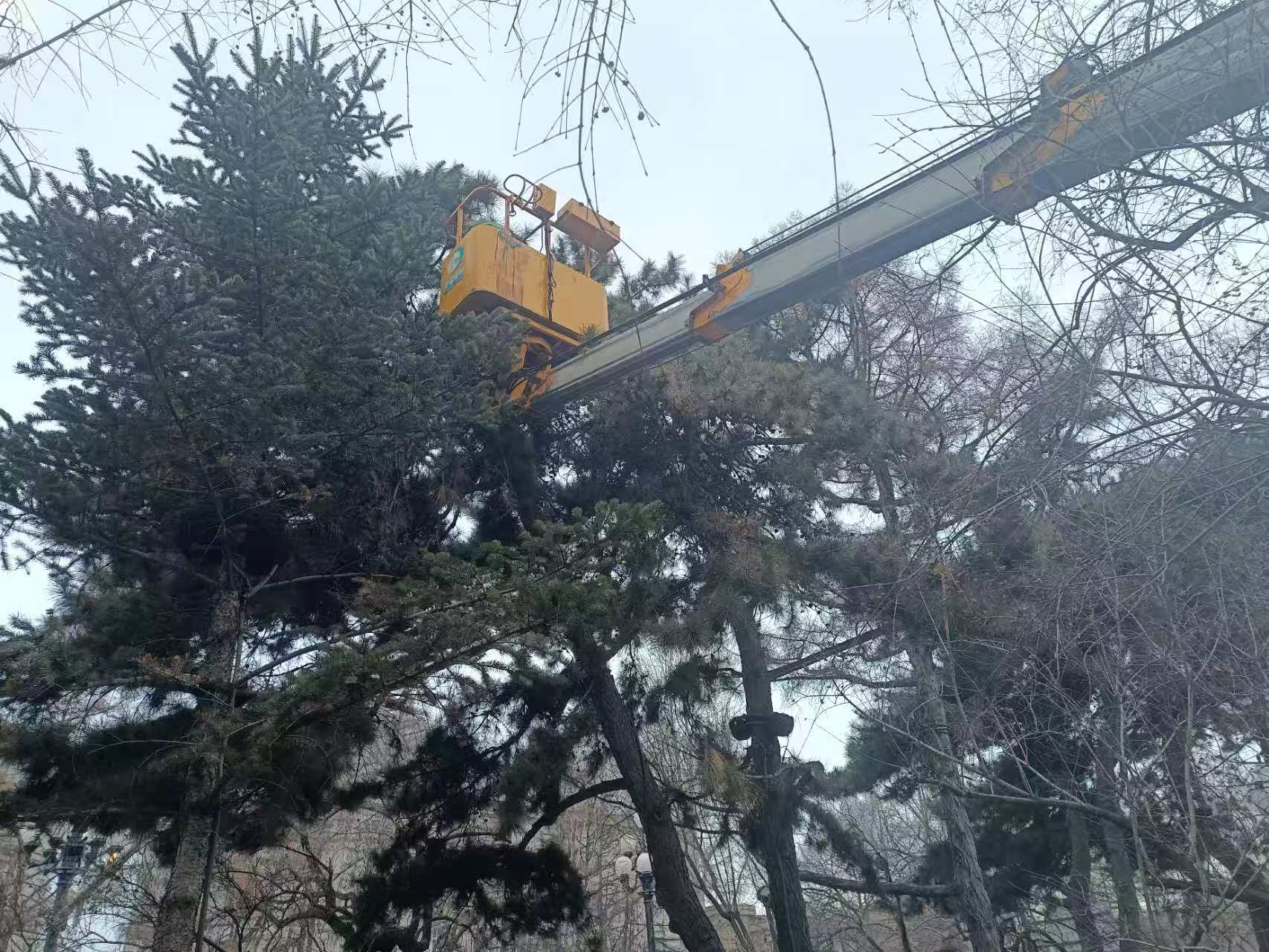 微信图片_20251216110854_229_7