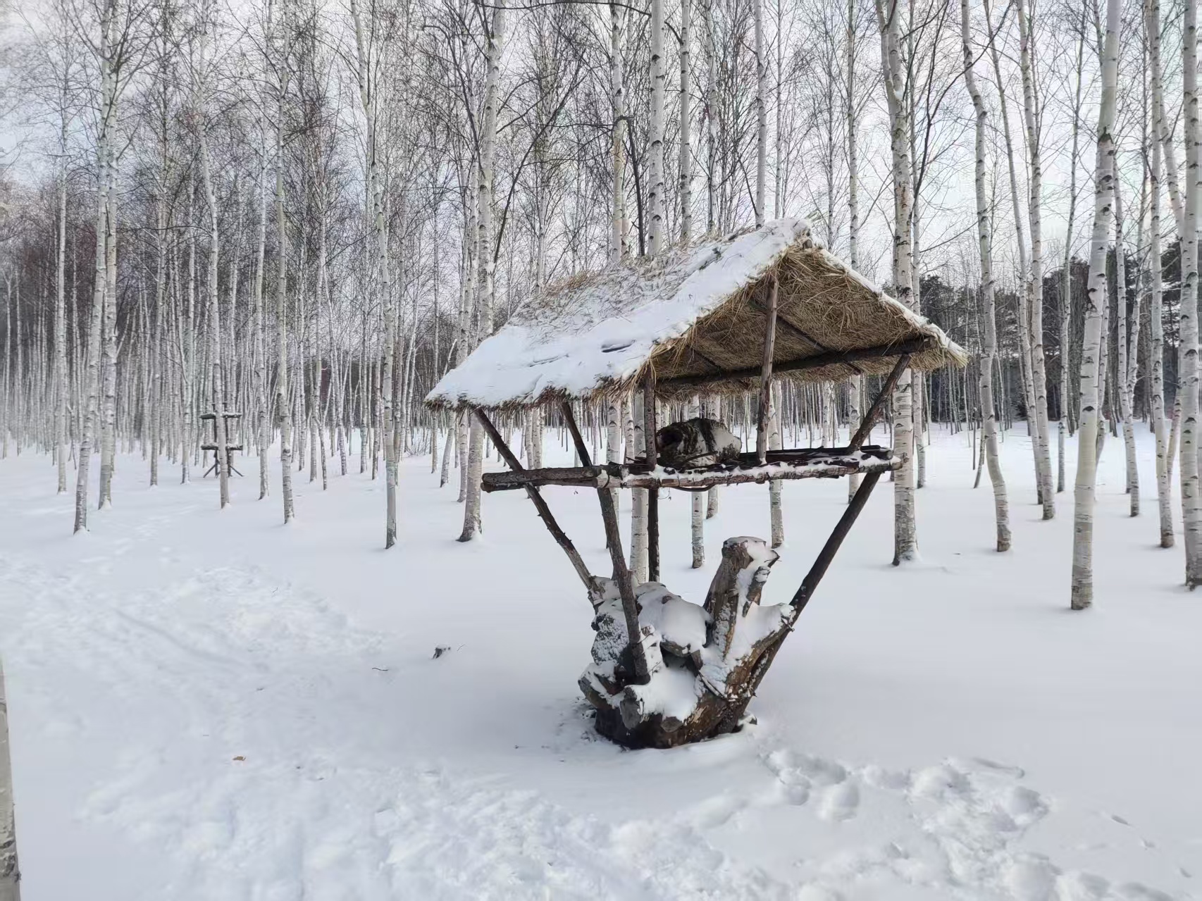 微信图片_20251223150605_266_7