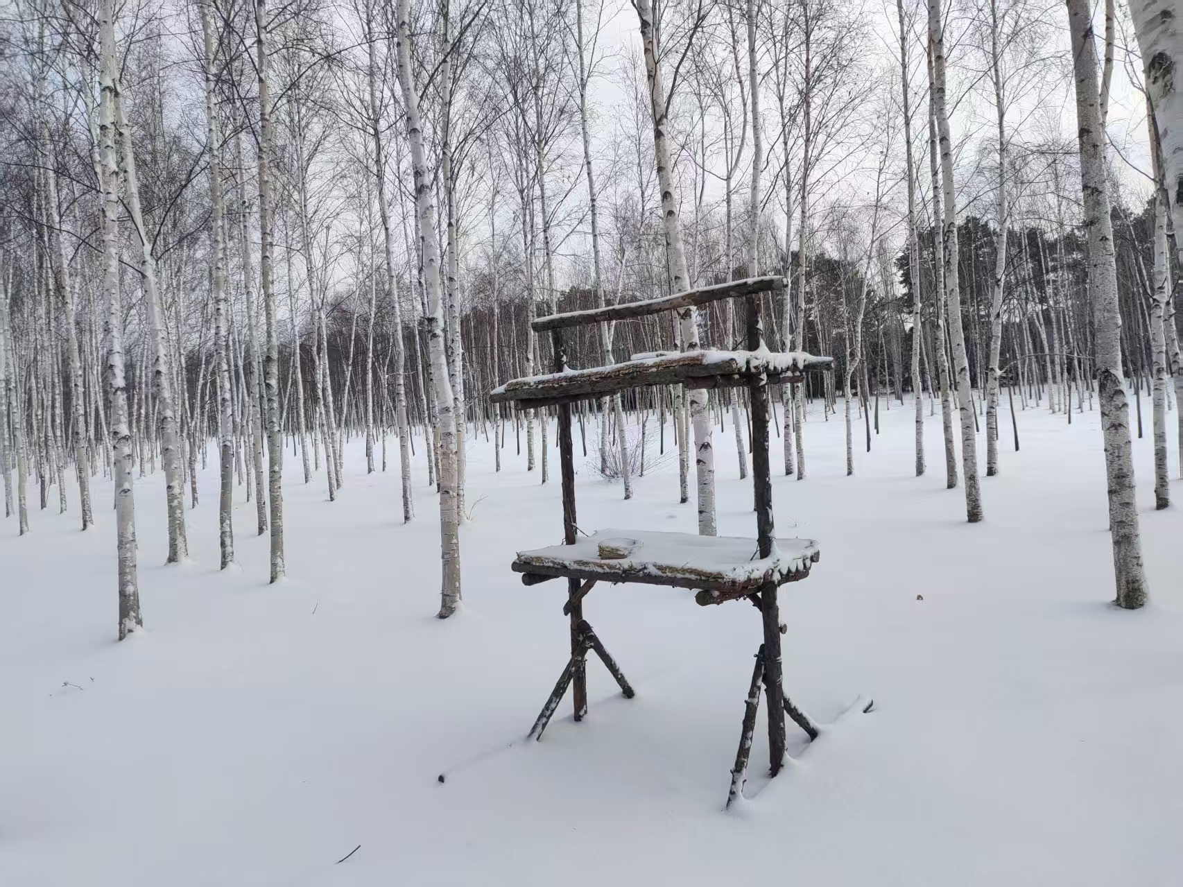 微信图片_20251223150607_269_7