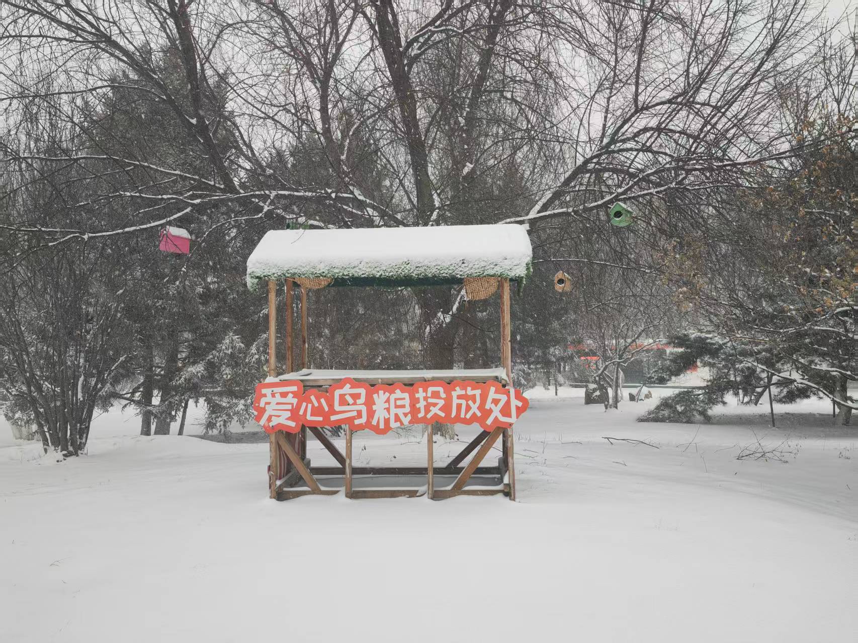 微信图片_20251223150608_270_7