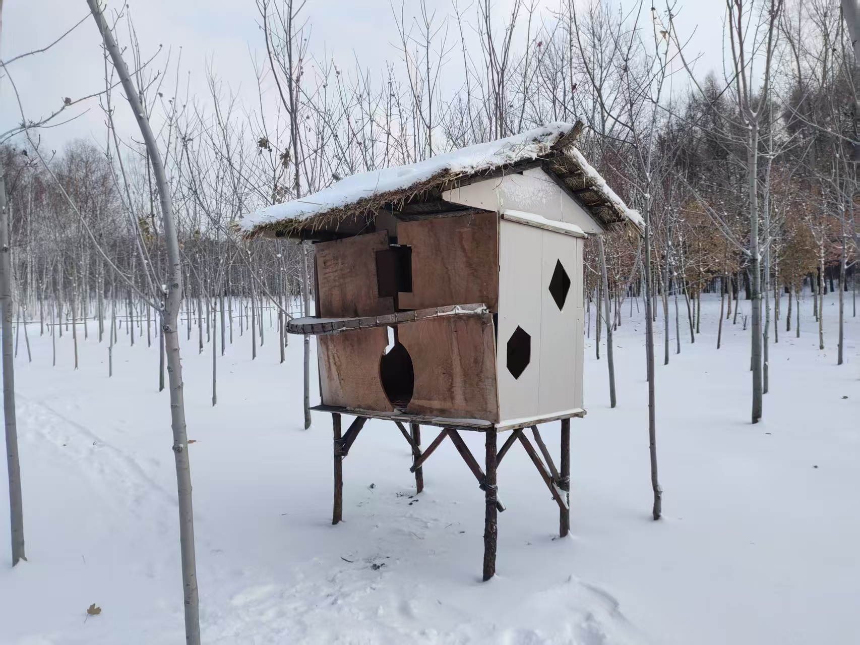 微信图片_20251223150605_267_7