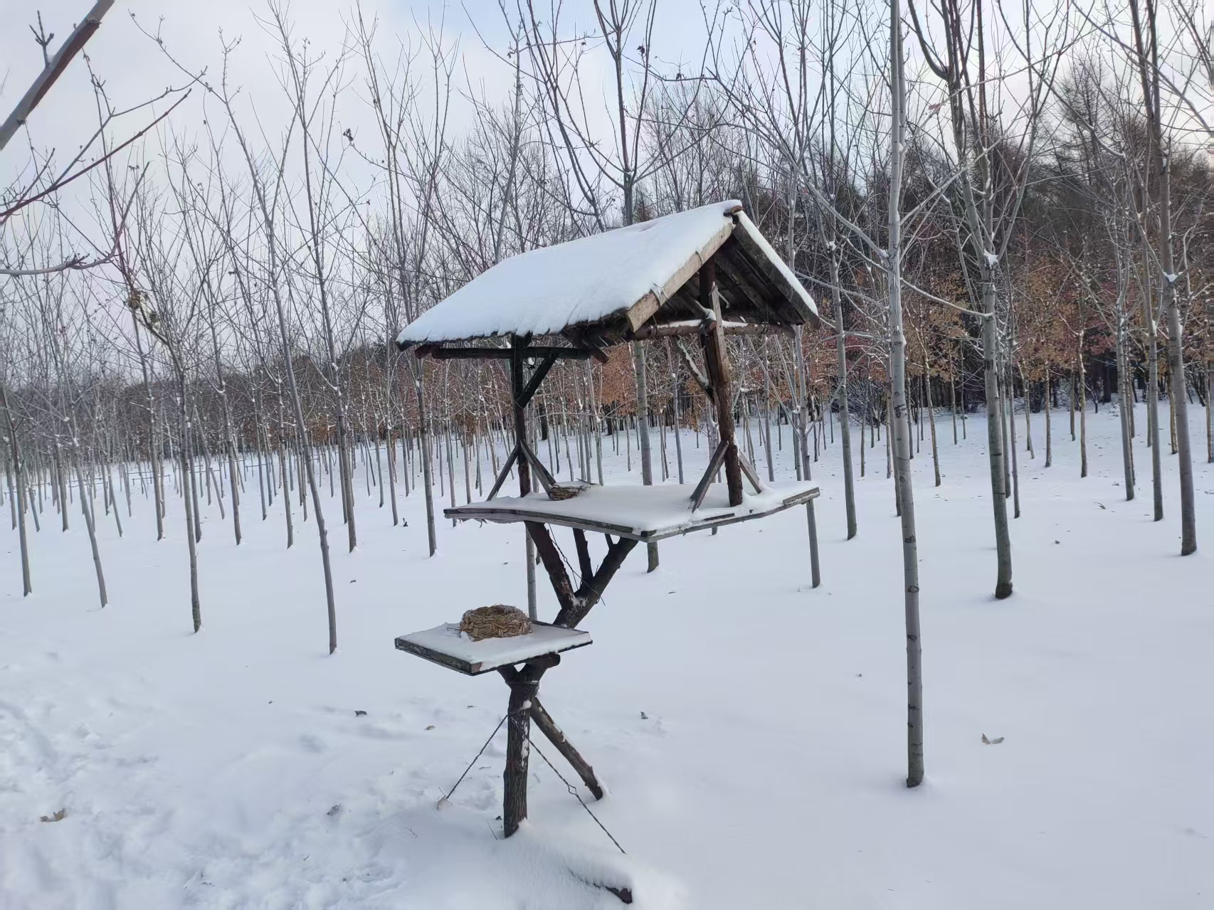 微信图片_20251223150606_268_7