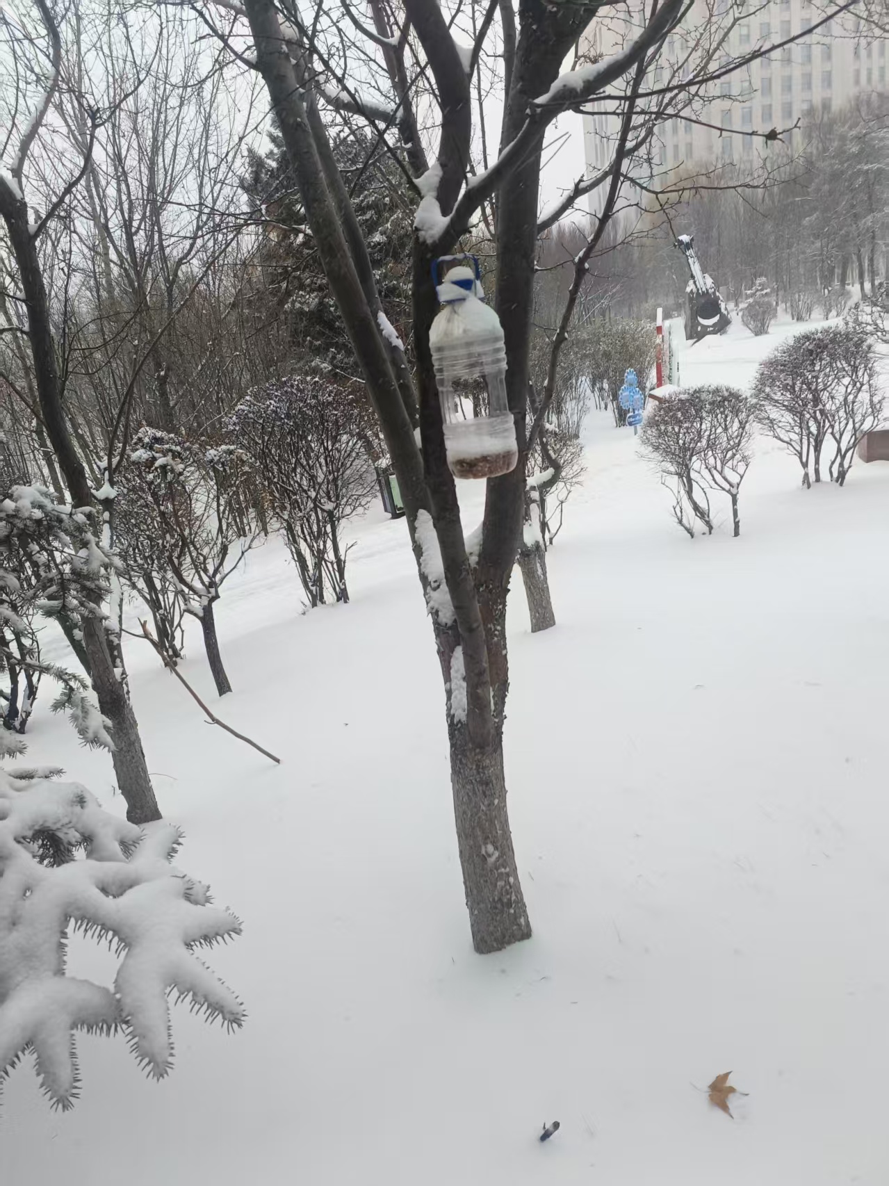 微信图片_20251223150609_272_7