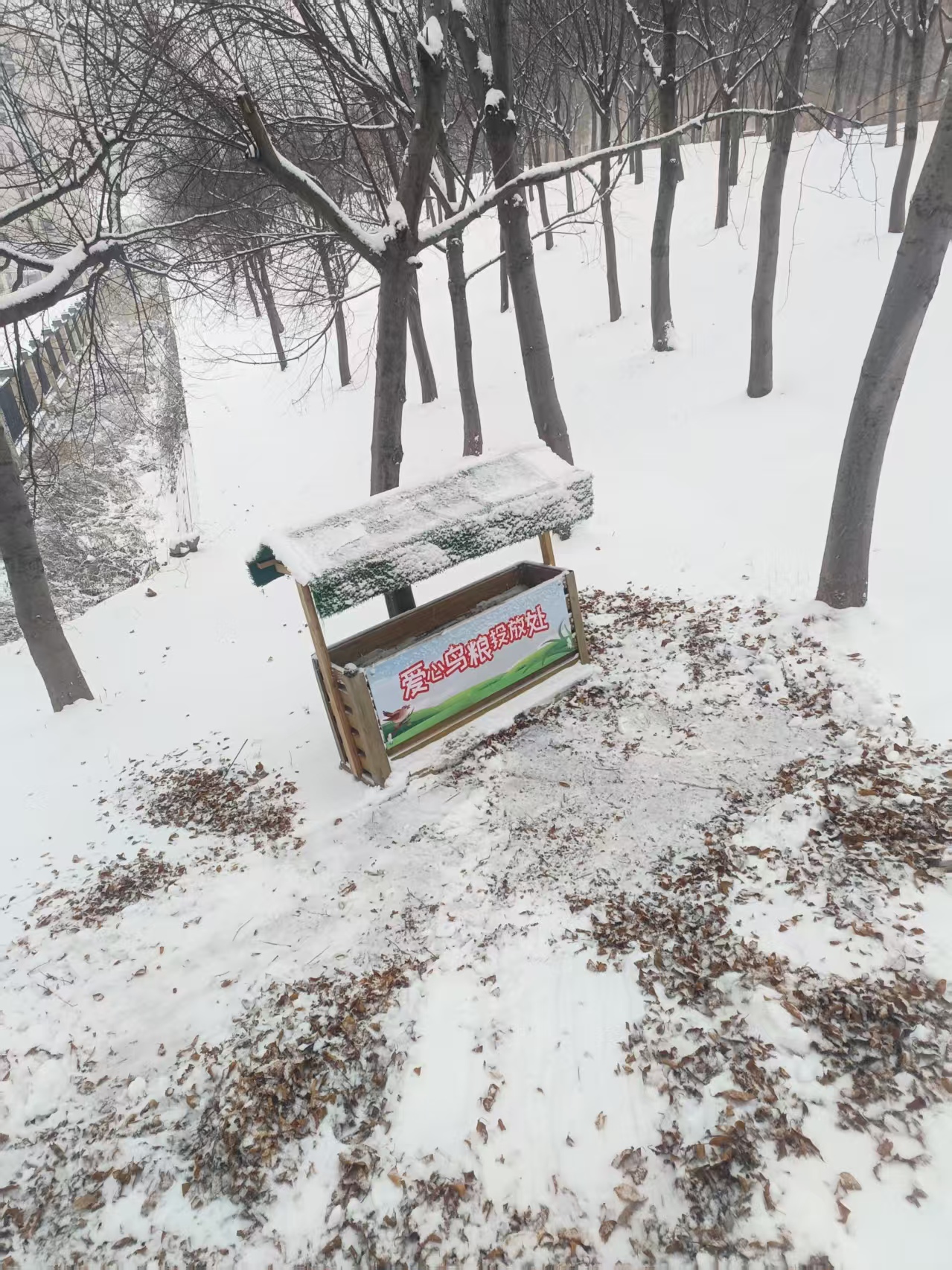 微信图片_20251223150608_271_7