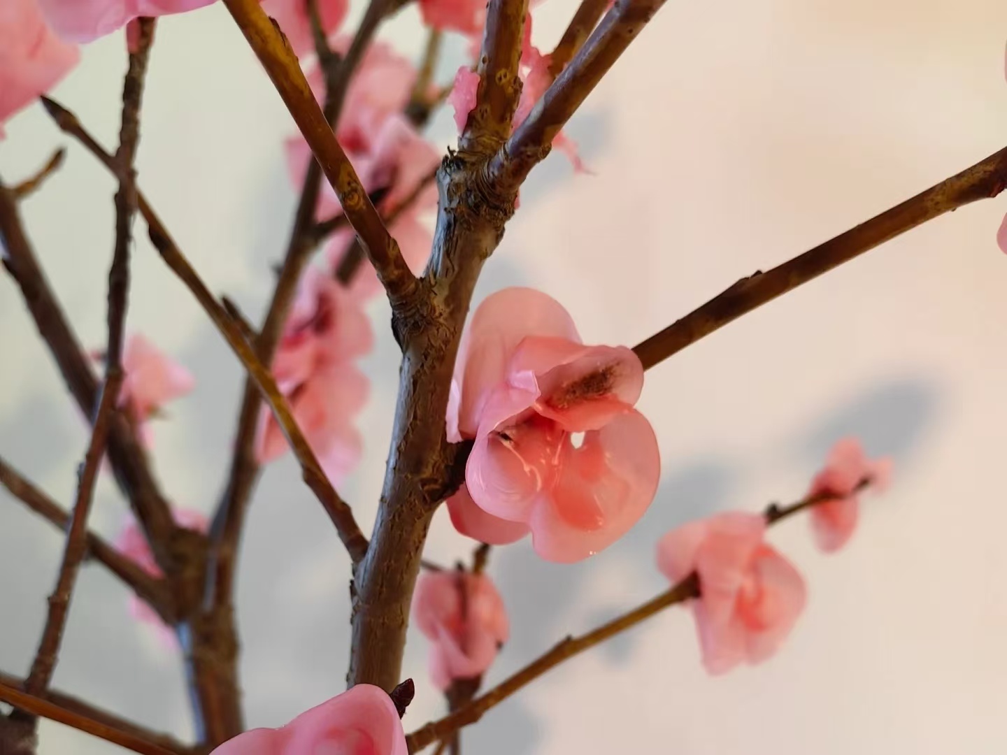 7afe9efc9c114bf59adfeecde21270bd