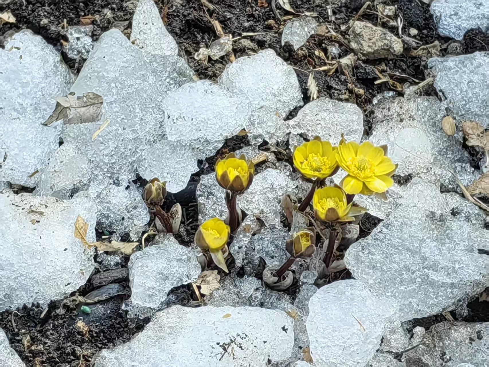 b24c615844366e442d9aed724cc8c73c