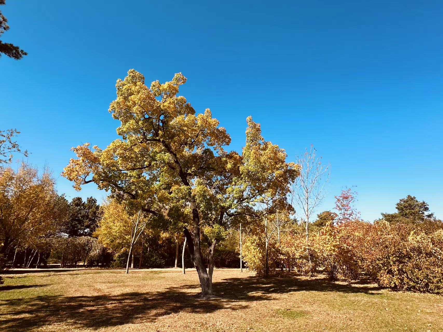 微信图片_20241025170026