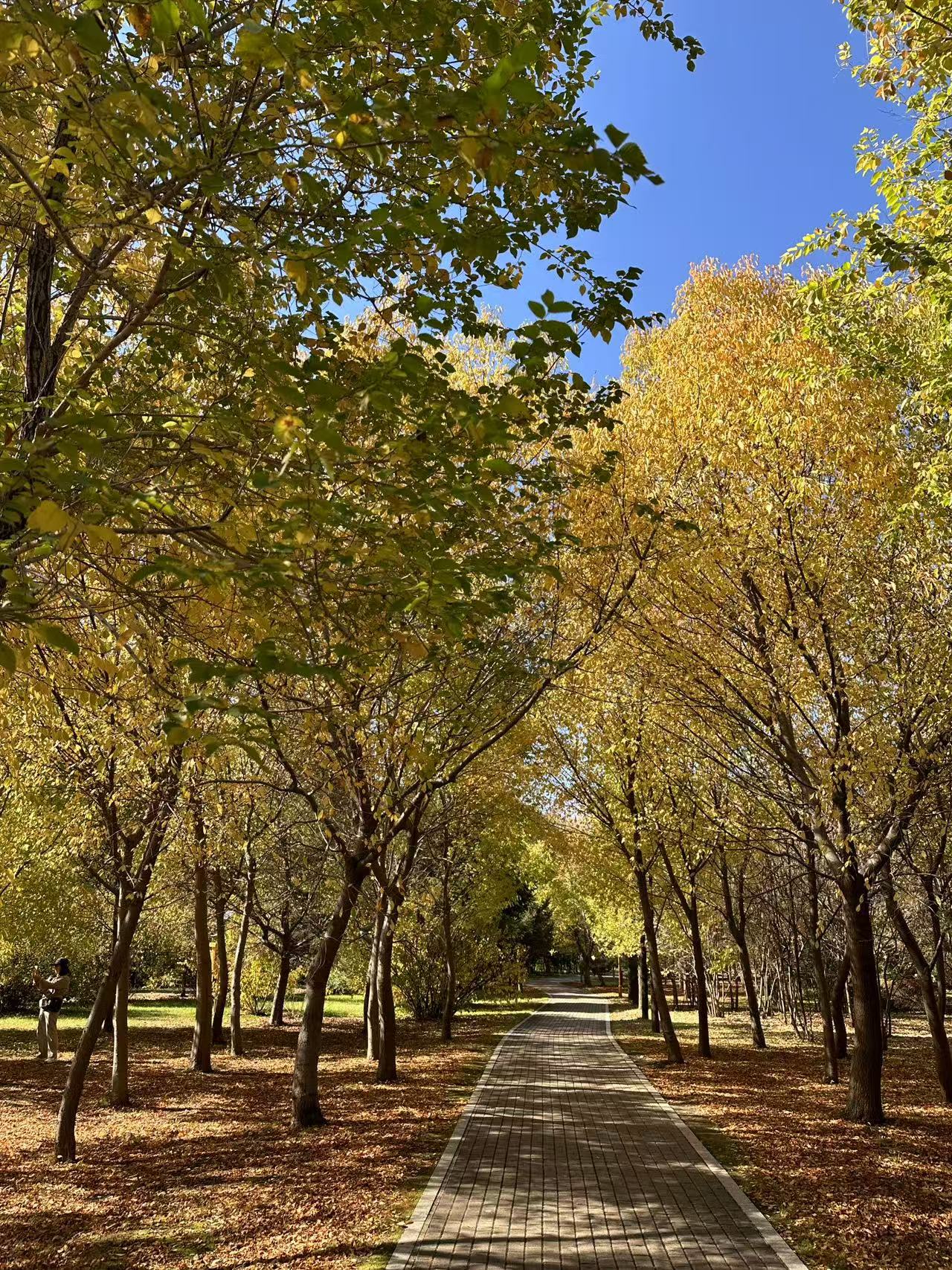 微信图片_20241025170037