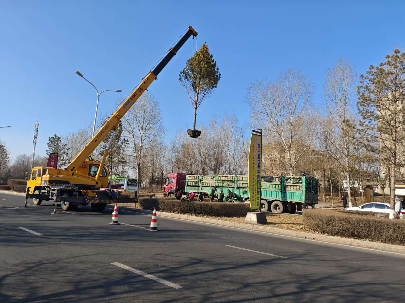 微信图片_20250319091637