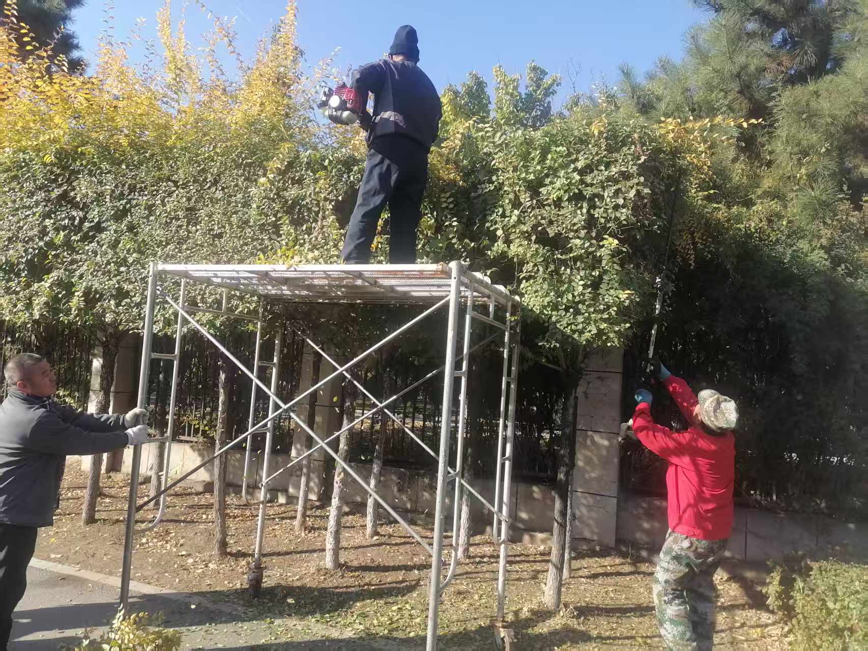 67e21b2b239044edb18e61c681bcacf6