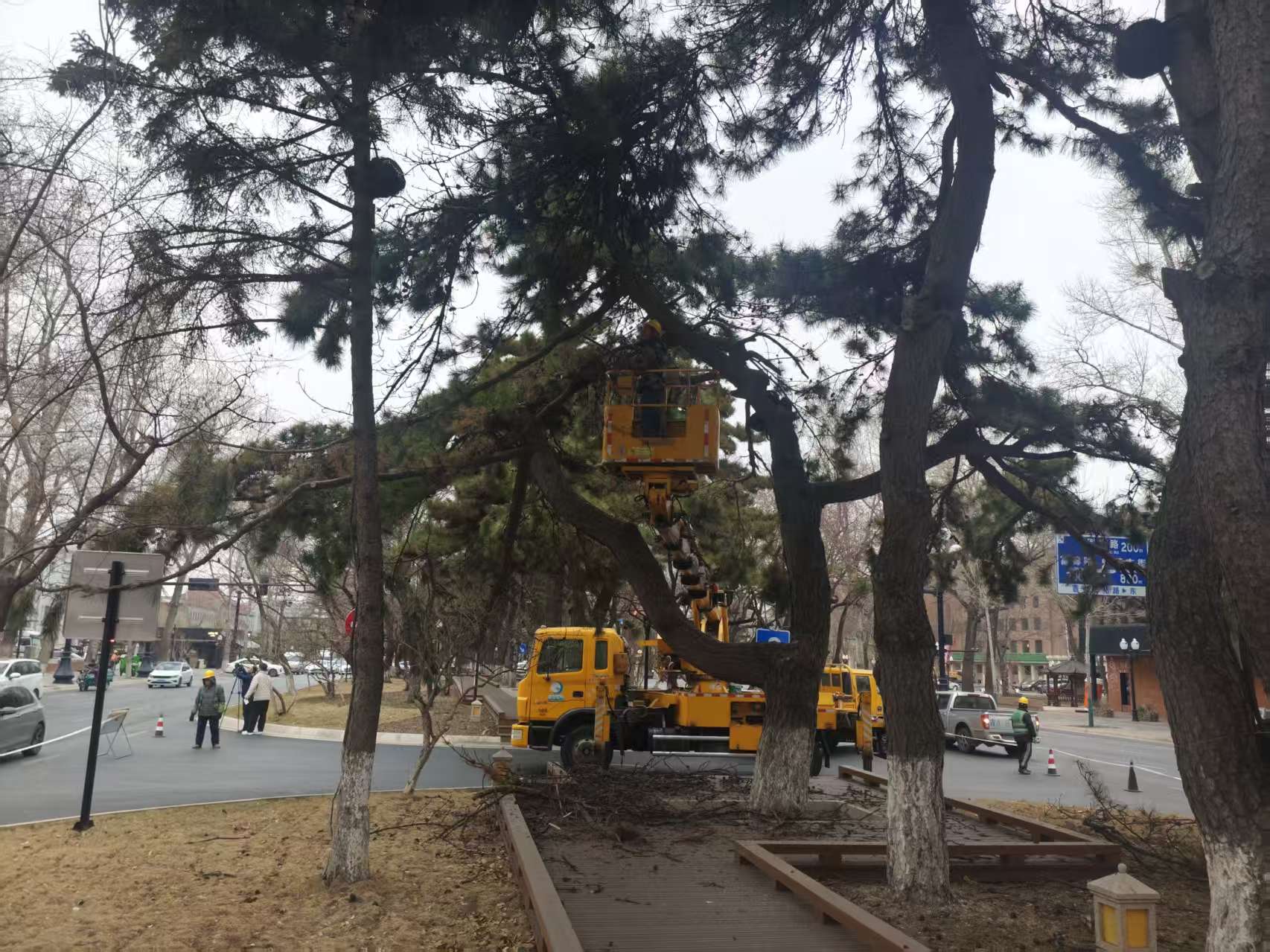 微信图片_20251216110856_232_7