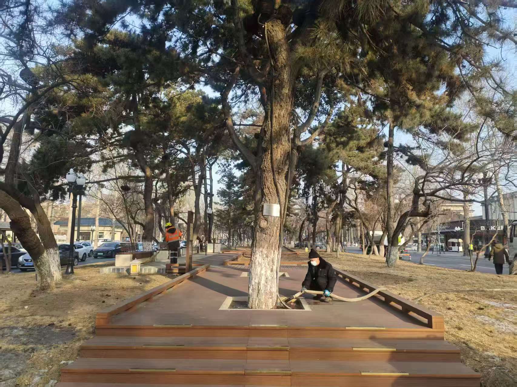 微信图片_20251216110857_233_7