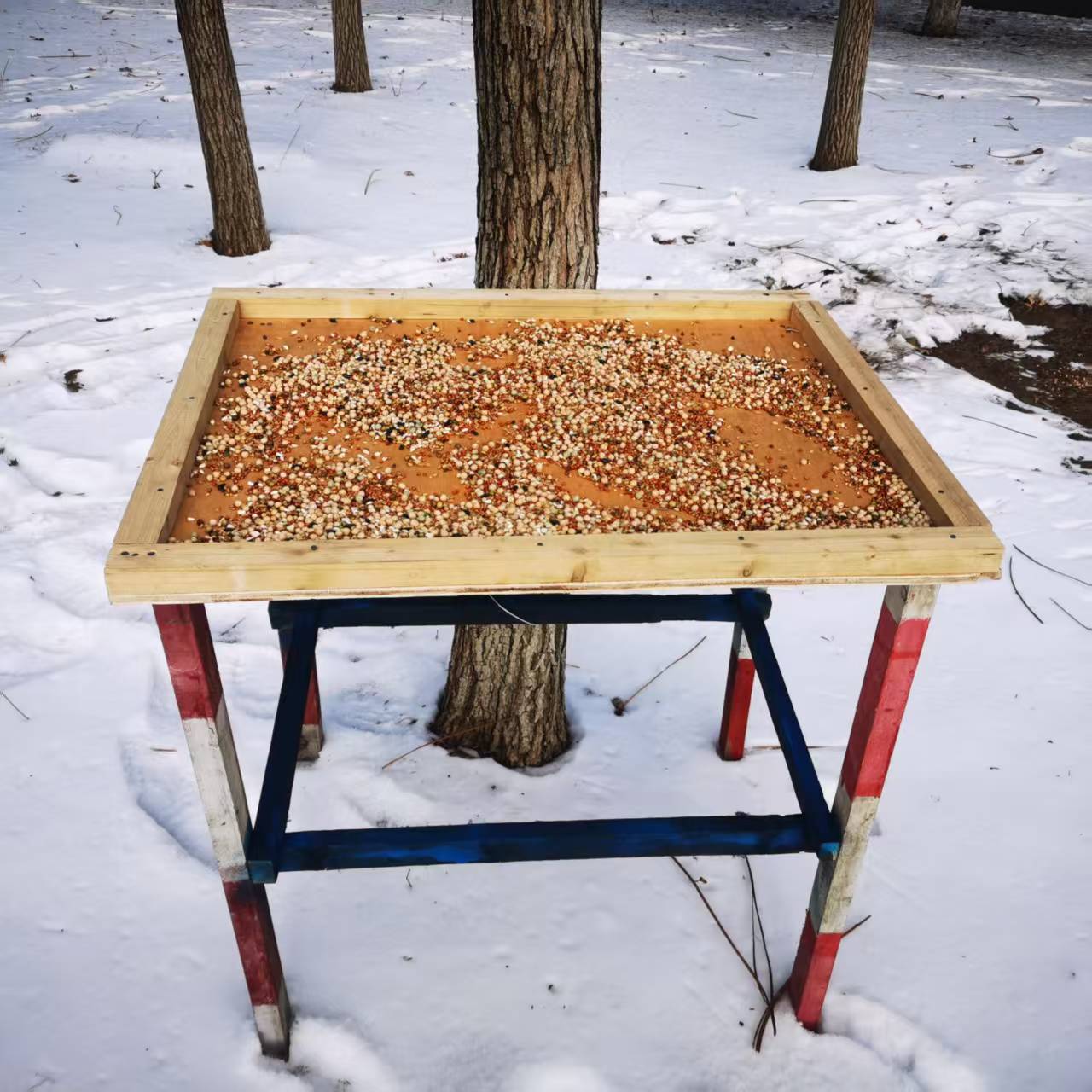 dda53faaa62f74b63e83602dcd26b025